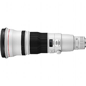 cheap e mount wide angle lens